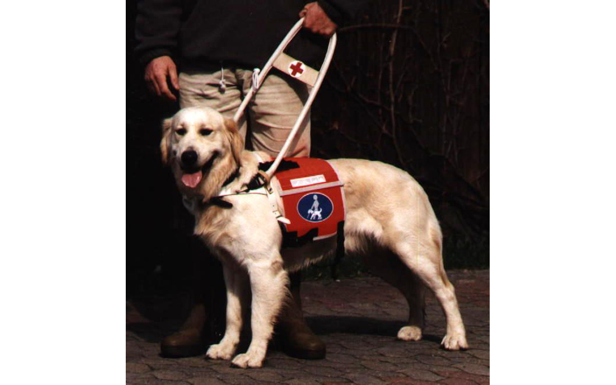 Kenndecke für Blindenhunde zur Befestigung am Führhundegeschirr