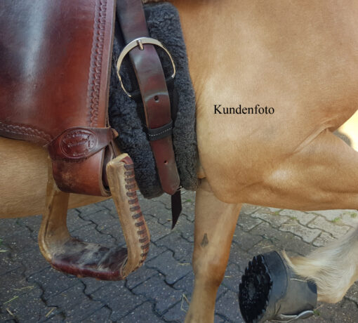Westerngurt passt sich am Pferd an_KD_Foto