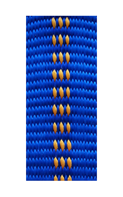 gepolsterte Bänder bi-color royalblau