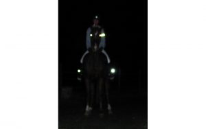 Reit Stiefelbeleuchtung Pferd von vorne sichtbar